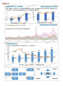 中國中醫(yī)保健行業(yè)市場調(diào)研分析與發(fā)展前景展望